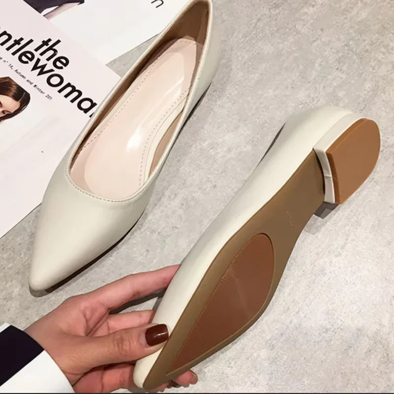 Woman Closed Back Snug Shoes Low Heels 2cm Null Pumps Pointy Toe Slip-On Red Black Beige Narrow Feet Seam Mocasines 34-43 25cm
