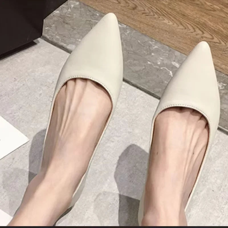 Woman Closed Back Snug Shoes Low Heels 2cm Null Pumps Pointy Toe Slip-On Red Black Beige Narrow Feet Seam Mocasines 34-43 25cm