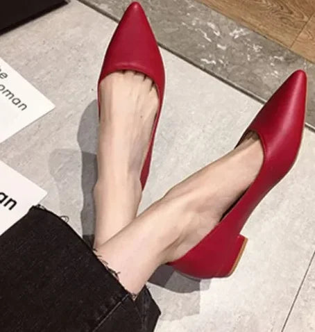 Woman Closed Back Snug Shoes Low Heels 2cm Null Pumps Pointy Toe Slip-On Red Black Beige Narrow Feet Seam Mocasines 34-43 25cm